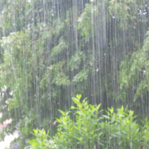 rain-rain
